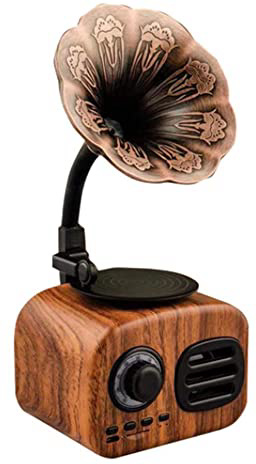 YWT Altavoces Bluetooth inalámbricos portátiles Tamaño de la Palma, con diseño Retro de Radio FM con gramófono, batería Recargable incorporada, Ranura para Tarjeta TF, para Oficina en casa