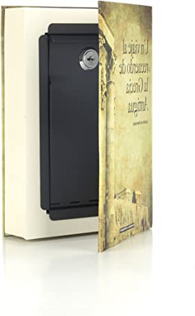 Arregui C9381 Caja De Caudales