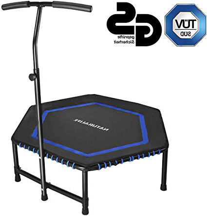 







NATURALIFE Mini trampolín Fitness con Manillar, Cama elástica Fitness de 106 cm para Ejercicio Corporal y Ejercicios cardiovasculares, Peso máximo 120 kg






