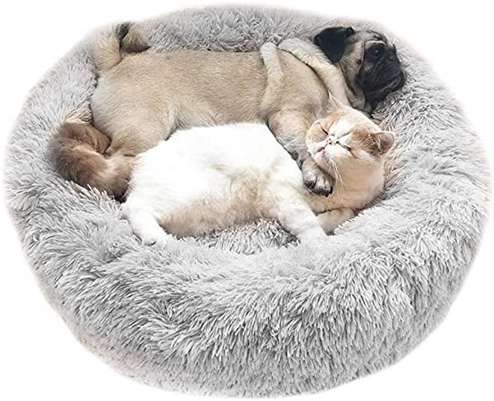 Cozywind Cama para Perros y
