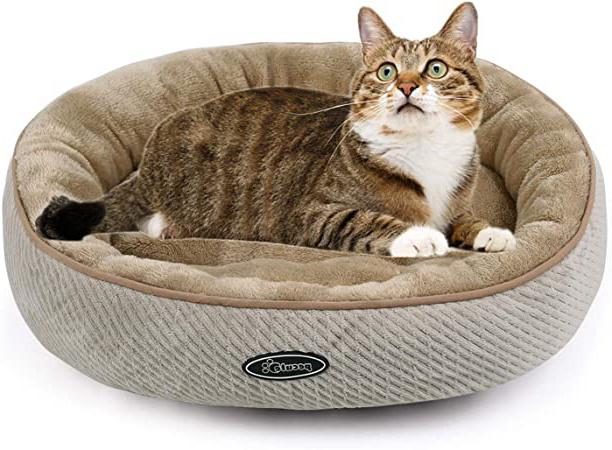 Pecute Cama de Gatos y