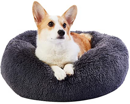 Toozey Cama para Perros Gatos