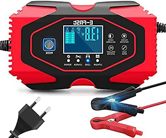 Cargador de Baterías Coche,12V/24V Coche