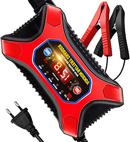 AOKBON Cargador de Batería Coche