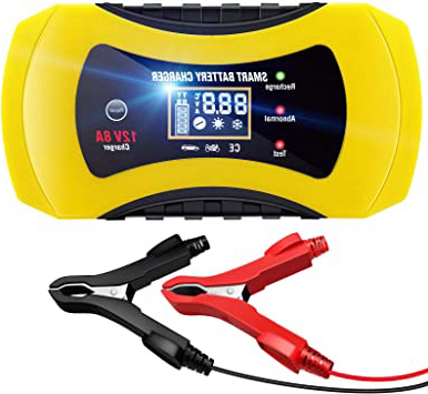 NWOUIIAY Cargador de Batería Coche