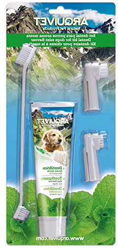 Arquivet 8435117825048 - Set Dental Sabor Menta