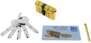 TESA 3019000 Cilindro Seguridad T70 30x30 Latonado Leva Larga, 30x30 mm