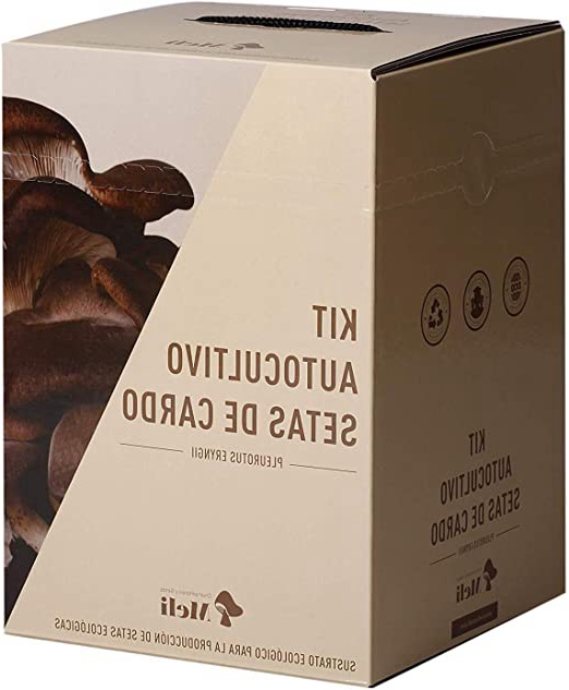 SETAS MELI | Kit Autocultivo Setas Ecologicas de Cardo | Para cultivar en casa | Crece en 10 dias | Kit perfecto para regalar | Hecho en España | Kit ECOLOGICO Y RECICLABLE