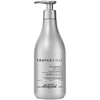 L'Oreal Expert Silver Magnesium, Champú, 500 ml