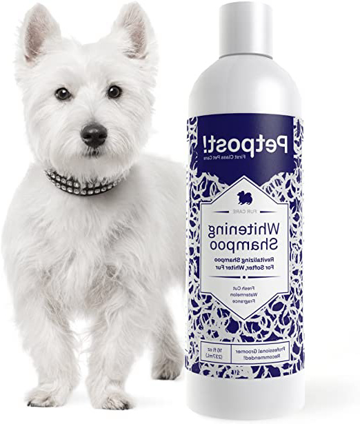 Petpost | Shampoo Blanqueador para Perros – El Mejor Tratamiento de Aclaramiento para Perros con Pelaje Blanco – Calmante Fragancia de Sandía – Para Malteses, Shih Tzu, Caniche – 237 mL