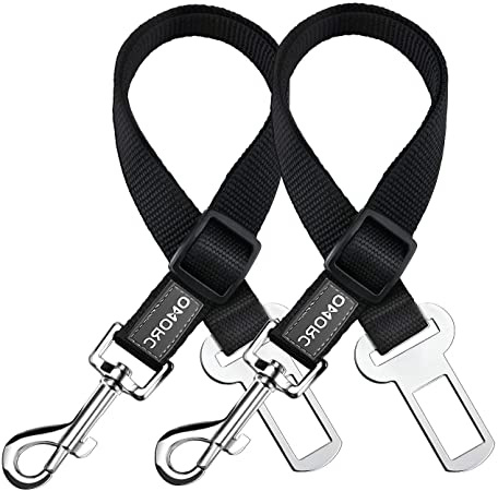 OMORC 2 Cinturón de Seguridad