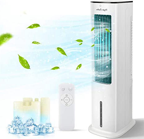 Taylor Swoden Snow - Climatizador