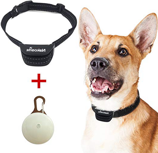 collar antialergico perros