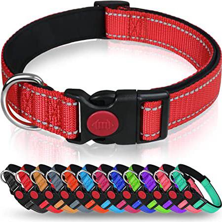 Taglory Collar Perro, Collar Nylon