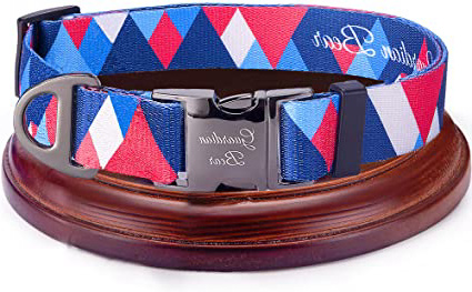 Collar Perro Mediano Premium con