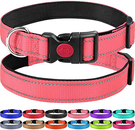 Las 10 mejores collares para perros que tienes que conocer si quieres