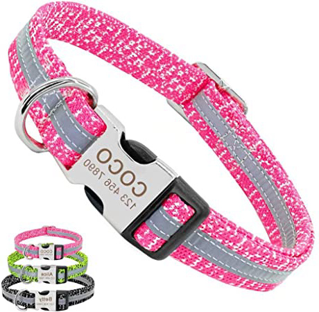 PET ARTIST Collares para Perros