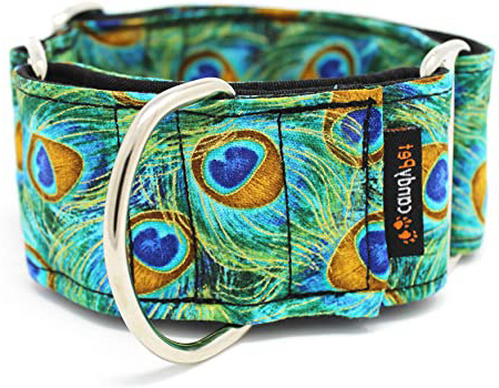 candyPet Collar Martingale para Perros-Modelo