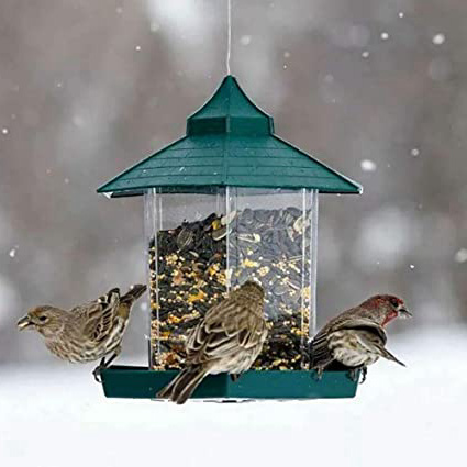 TopHGC Comedero para pájaros, Contenedor