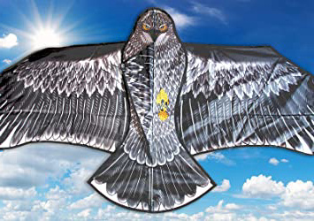 molinoRC Precioso dragón águila |