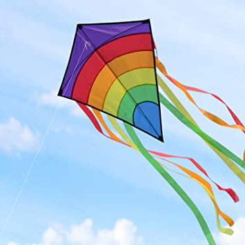 Homegoo Gran Kite Cometa para