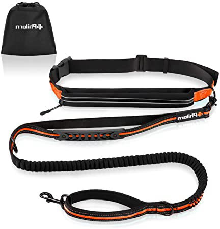 PHILORN Correa para Perros Manos