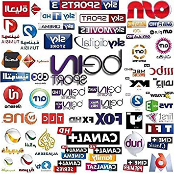 12 Mes CCCAM 1 año