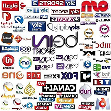 En Zylon-Seller le damos 12