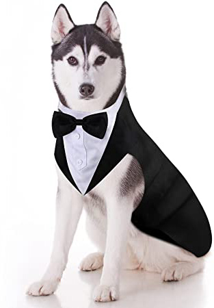 Esmoquin de Perro Set de