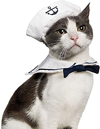 N / A Halloween Trajes,