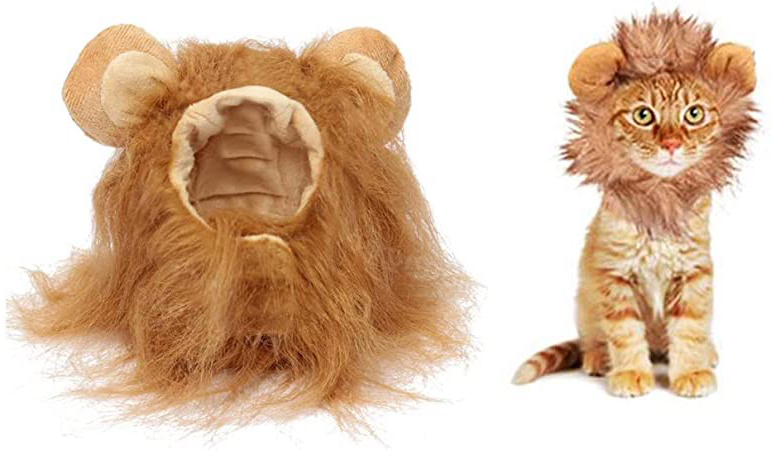 Disfraz de Halloween para Mascotas,