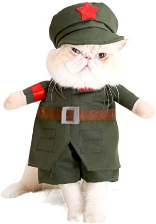 smalllee_lucky_store Disfraz de soldado para