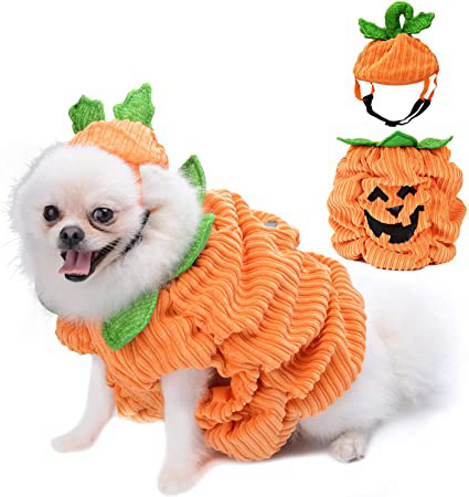 Legendog Disfraz de Halloween para