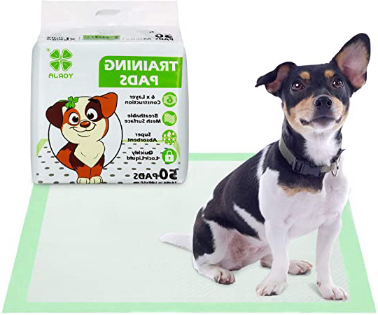 YORJA Empapadores Perros 50 unidades-60