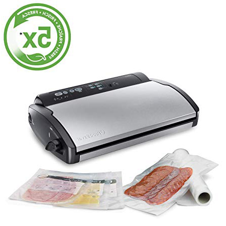 Food Saver V2860 - Envasadora al vacío, 2 tipos de envasado, 3 velocidades, color negro y plata