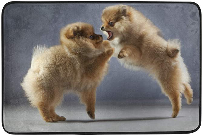 MyDaily - Felpudo para Perro