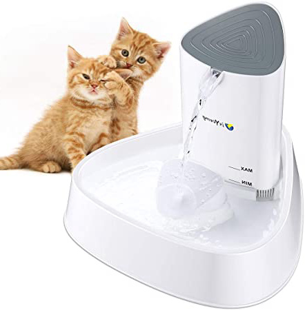 isYoung Fuente para Gatos Fuente