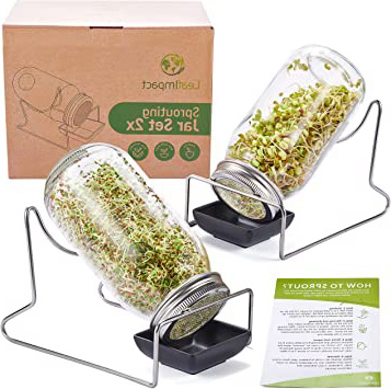 2 Vaso De Germinador |