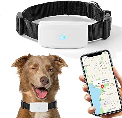 Localizador GPS para Perros y