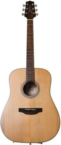 Takamine GD20NS - Gd20-ns guitarra acustica dreadnought