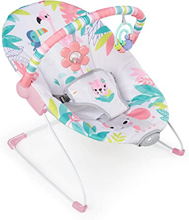 Bright Starts, Hamaca bebé Flamingo