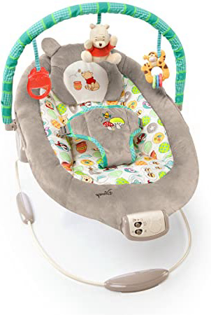 Bright Starts, Disney Baby Hamaca