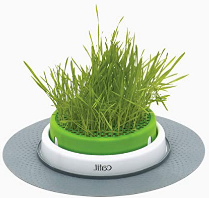 Catit Germinador Sin Hierba Gatera,