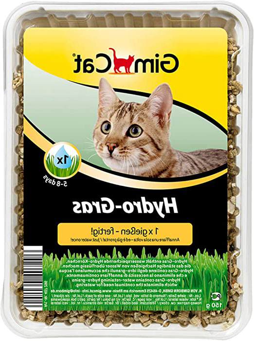 GimCat Hydro-Gras – Hierba para gatos de plantación controlada – De fácil cultivo en 5-8 días regando 1 sola vez – 1 bandeja (1 x 150 g)