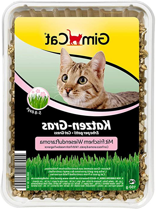 GimCat hierba para gatos con aroma a pradera - Hierba para gatos de plantación controlada - De rápido cultivo en 5-8 días - 1 bandeja (1 x 150 g)