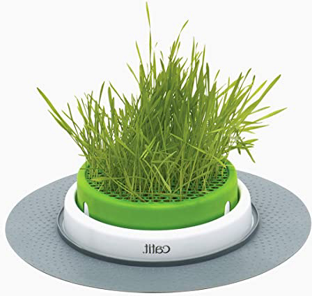 Catit Germinador Sin Hierba Gatera, Senses 2.0