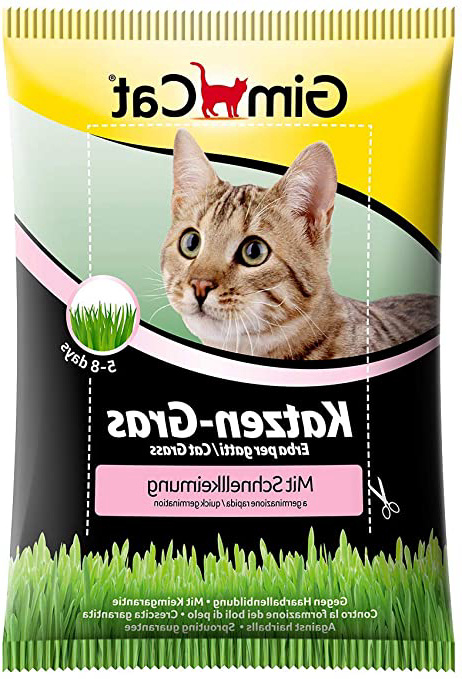 GimCat hierba de rápida germinación para gatos - Hierba para gatos de plantación controlada - De rápido cultivo en 5-8 días - 1 bolsa (1 x 100 g)