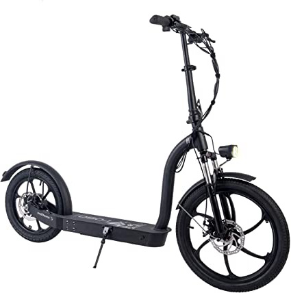 SMARTGYRO Lobo Patinete eléctrico con