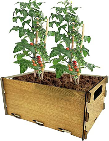 PLANTAWA Kit de Siembra para