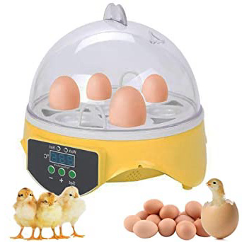 Incubadoras 7 Huevos Completamente Automáticos